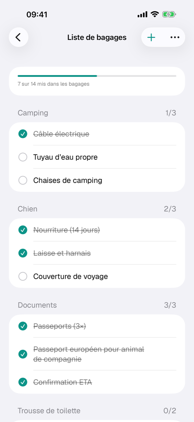 Liste de bagages avec barre de progression, sections par catégorie et éléments cochés