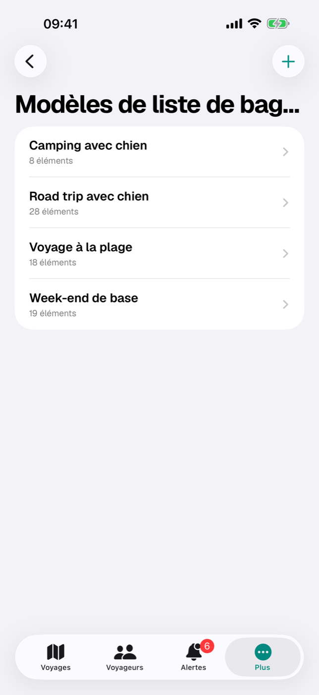 Liste des modèles de liste de bagages avec les trois modèles standard et leur nombre d’éléments